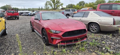 2022 Ford Mustang EcoBoost Fastback