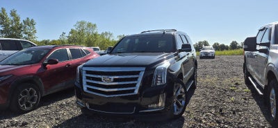2020 Cadillac Escalade Luxury