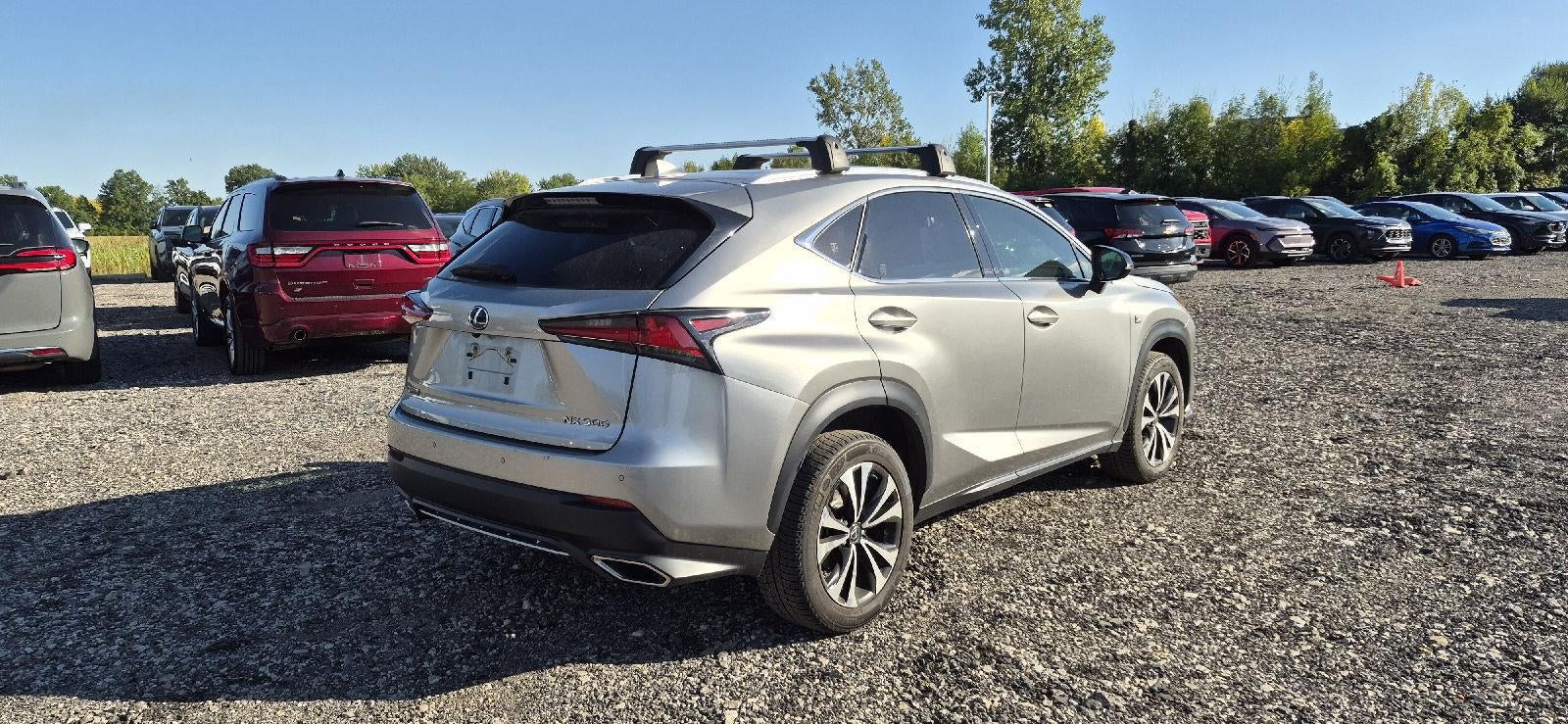 2020 Lexus NX 300 F SPORT