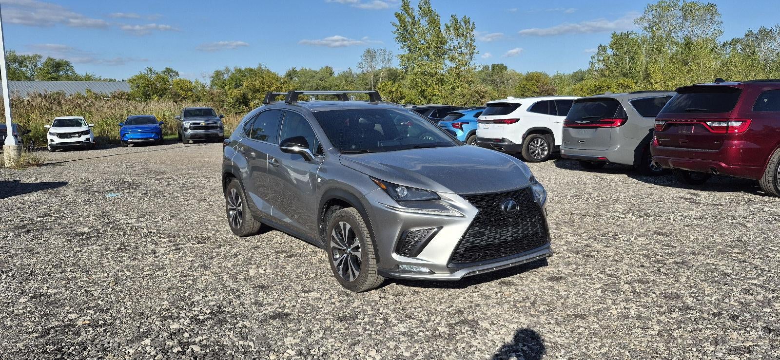 2020 Lexus NX 300 F SPORT