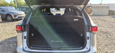 2020 Lexus NX 300 F SPORT