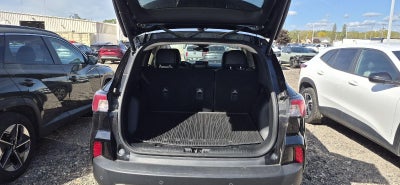 2020 Ford Escape Hybrid Titanium